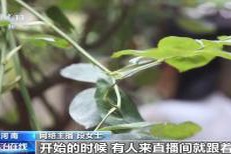 不擦边要赔50万？离家30年想继承遗产？法院判了
