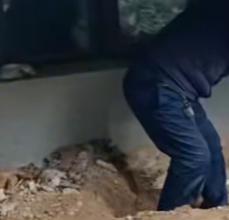 河南长垣女子购买一楼房子在院子里挖出疑似人体骨头，警方介入！物业：多方协调中