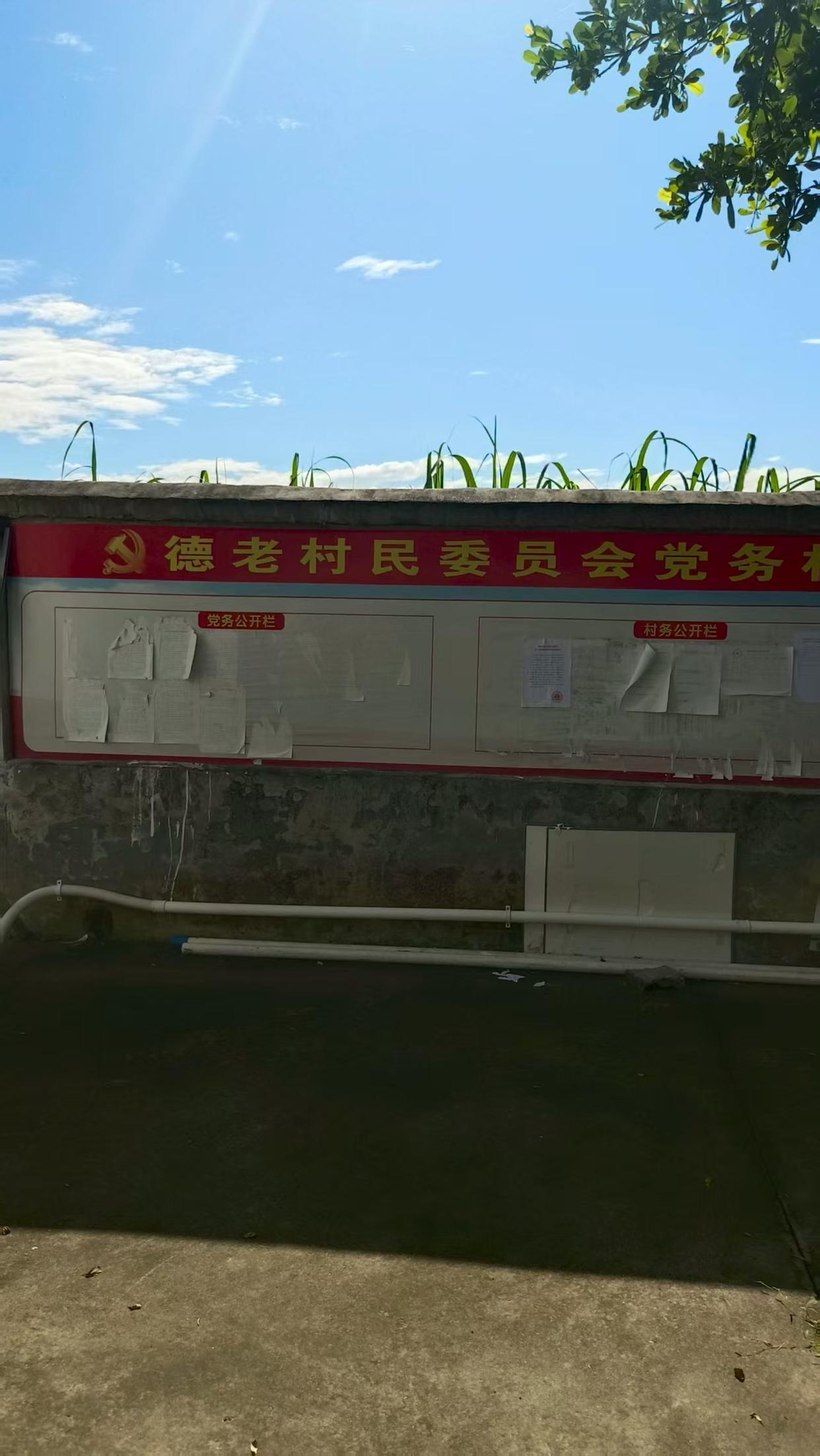 海南“七旬老人护孙砍伤醉汉”案新进展：78岁当事人申请国赔，法院贴出澄清通告