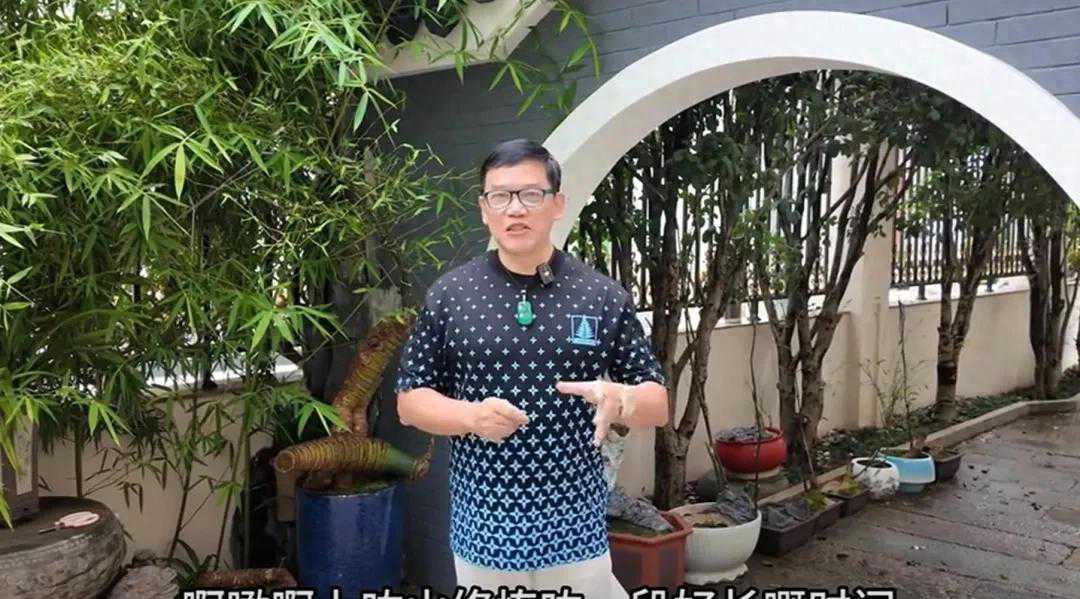 珠江台30年最红的主持：伍燕和任永全做了领导，陈维聪却坐了10年牢
