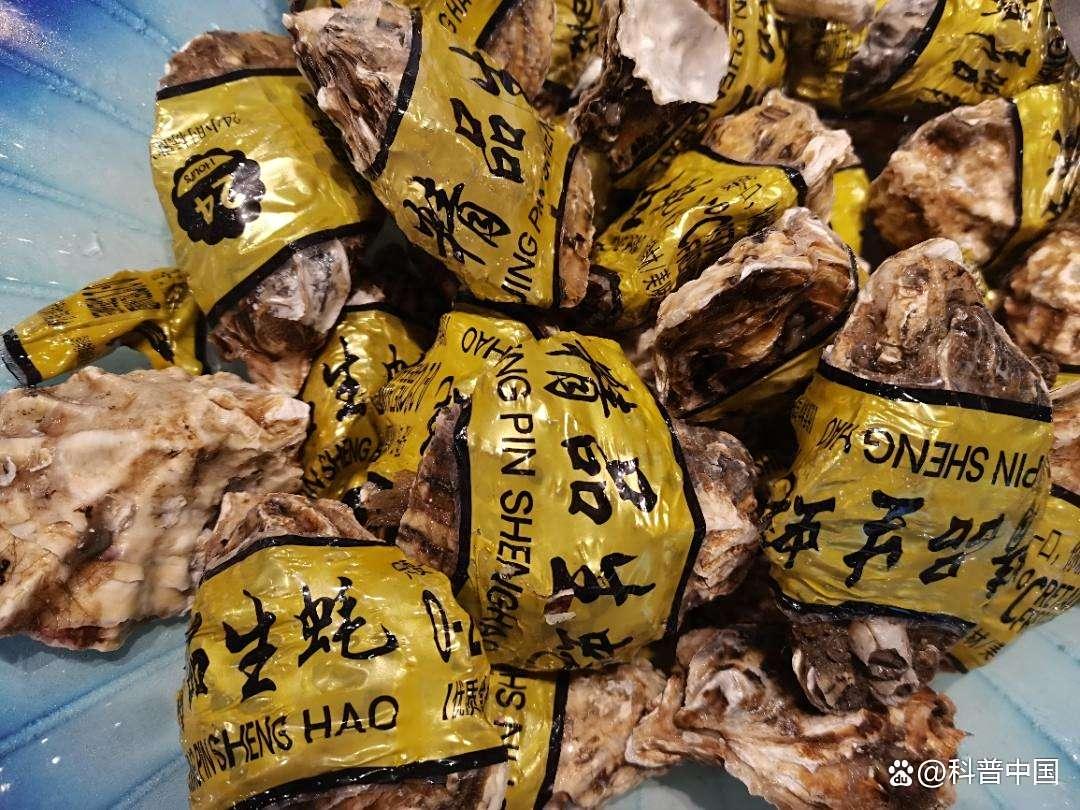 真的想问：生蚝肚子里的黑色到底是不是屎，能不能吃啊？！