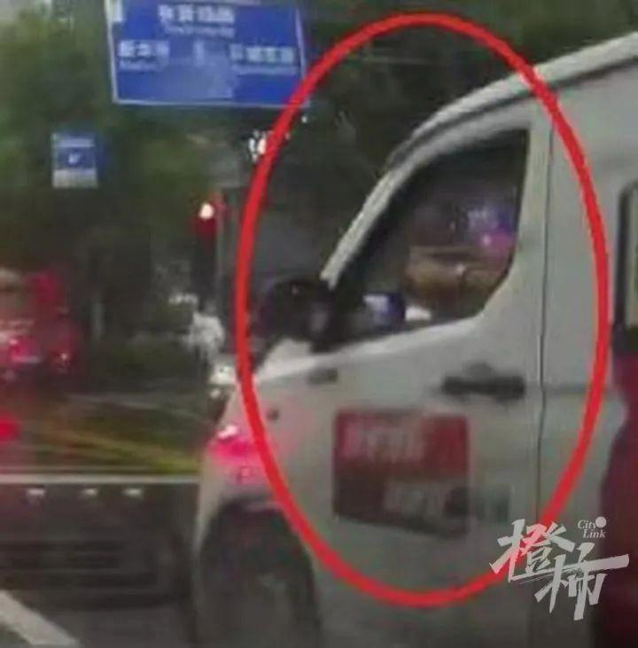 “等红灯无聊，想找点乐子”，杭州闹市区4名女子受伤，40岁货车司机被判刑！