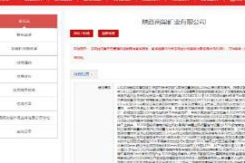 违法内容多达19项，陕西南梁矿业有限公司违规被罚29.6万元
