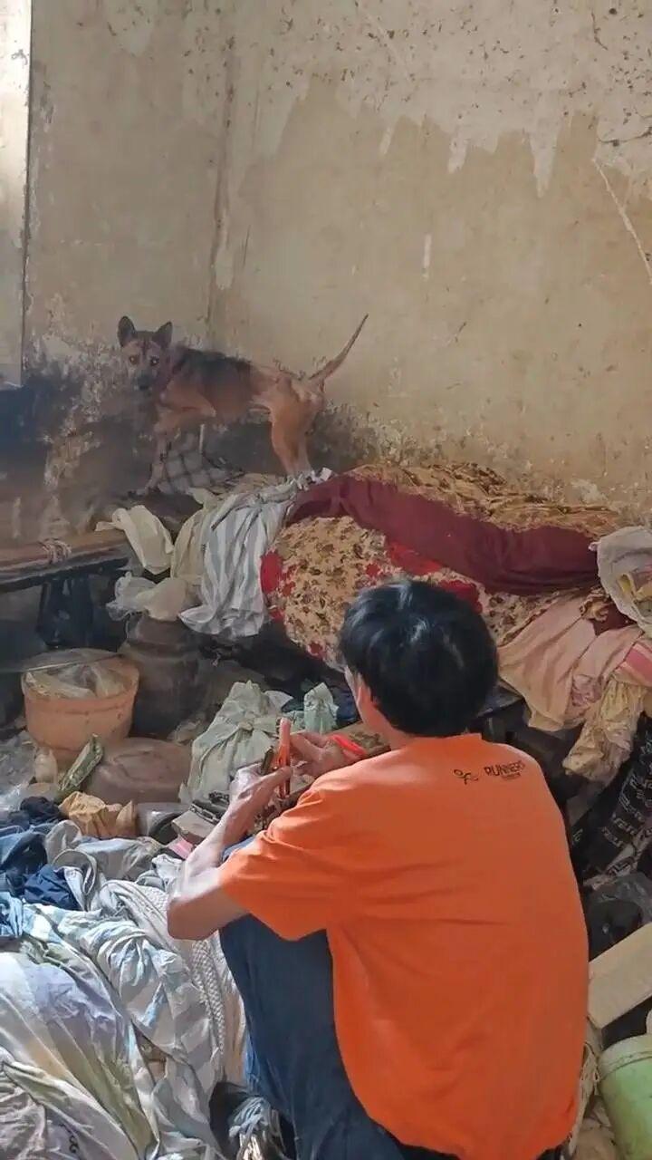 狗狗靠近陌生人常常是想聞聞氣味，也可能是求和行為或想設定界線面對沒準備好的撫摸，溫和的狗狗可能會待在原地被摸，同時展現安定訊號如撇頭、張嘴喘氣、甩身體 等#, image size:720x1280