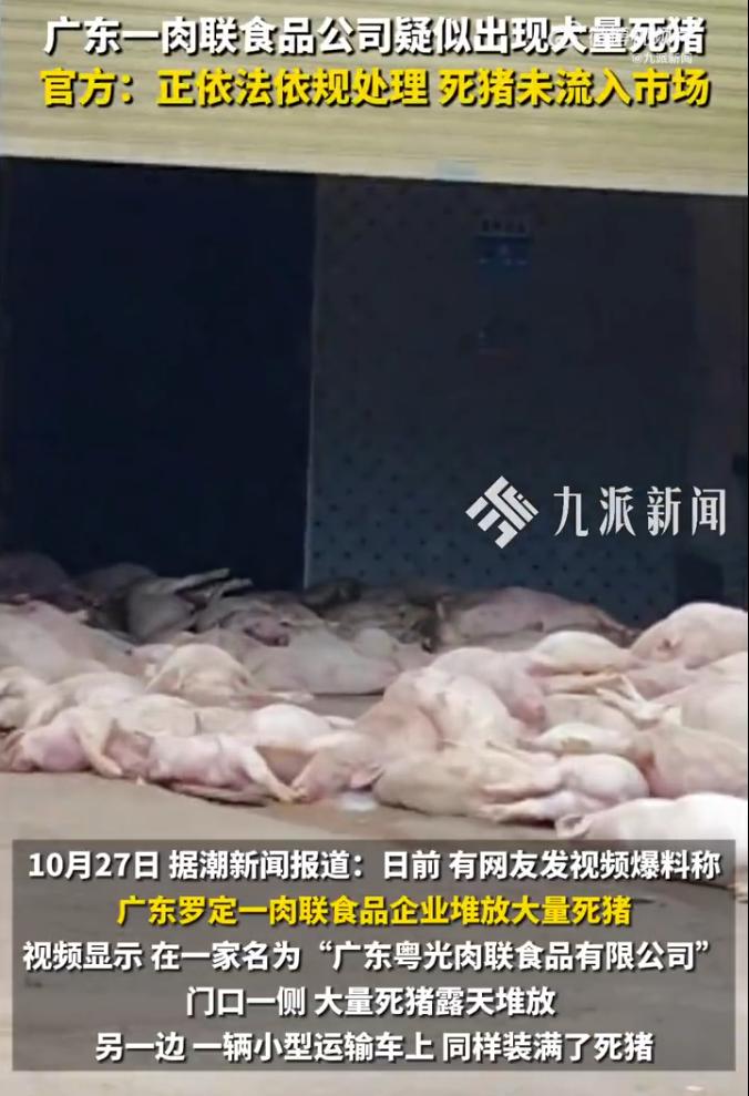 官方回应食品公司疑堆放大量死猪：正依法依规处理，死猪未流入市场