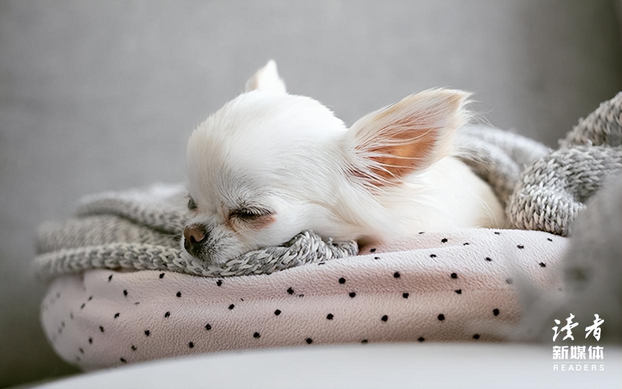 这，才是一个人的顶级人格魅力（必读）