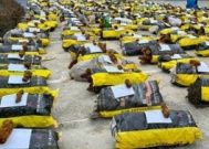 一株也不能挖!25年国内查扣5000株,7人判刑7年