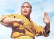 徒弟武功高强,释永信被带走时为何不反抗?老警察透露缘由