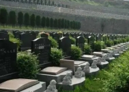 买不起墓地,不能把骨灰放自己家?新规出台后,网友吵翻天
