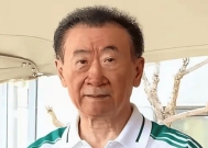 王健林:被追债36亿,万达没了,首富没了,还剩什么?