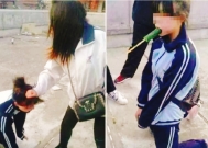 东莞女孩下面被塞瓶子,逼吃垃圾,曝不堪视频,施暴者赔6k